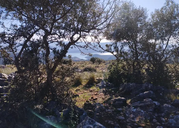 La Rutena